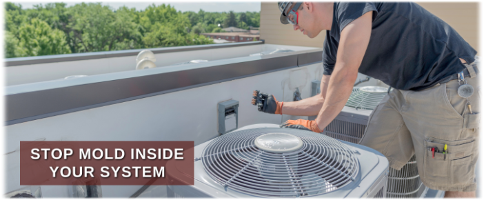 HVAC Mold Removal Old Bridge NJ